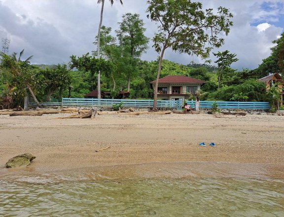 2300 sqm Beach Property For Sale in Puerto Princesa Palawan