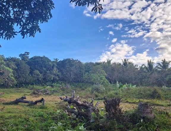Build Your Retirement Home in this 500sqm Lot near Nagtabon Beach