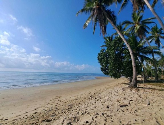 3,647 sqm Beach Property For Sale in Roxas Palawan
