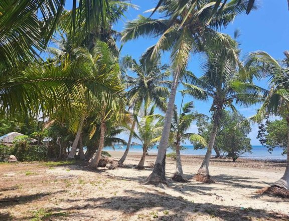 1 hectare Beach Property For Sale in Roxas Palawan