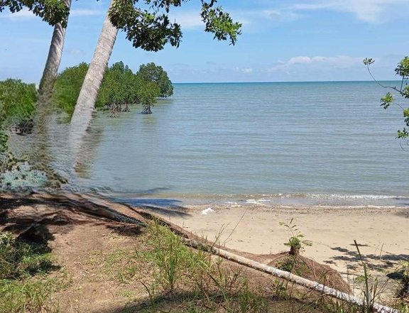 Beachfront Property for Sale  1,106 sqm, Titled Land!
