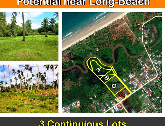 New Agutaya, San Vicente Agri-Residential Subdivision with Tourism Potential next to Long Beach