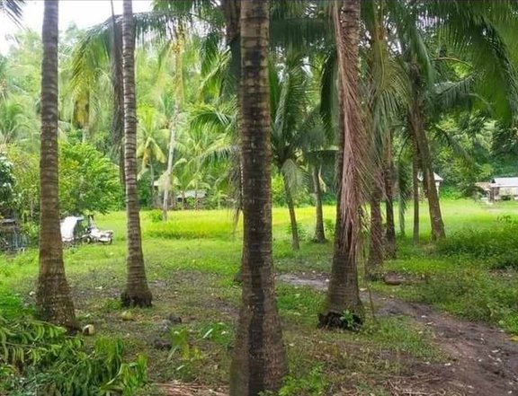 1,754sqm Residential Lot For Sale in Siaton Negros Oriental