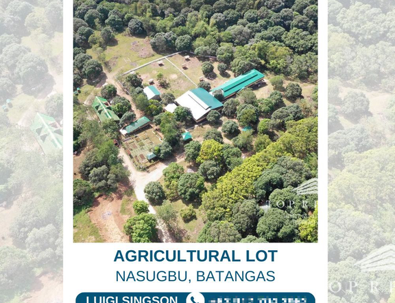 8 HECTARES AGRICULTURAL LOT FOR SALE NASUGBU BATANGAS