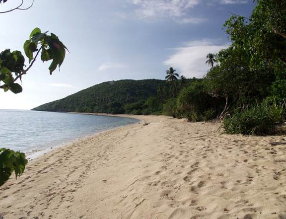 1.97 hectares Beach Property for sale by owner