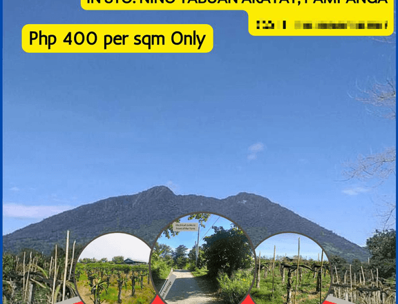 Best deal 2 hectares Arayat Pampanga 400 peso per sqm Farm lot for sale