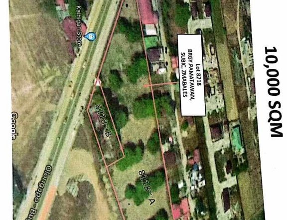 1 hectare Commercial Lot For Sale in Subic Zambales