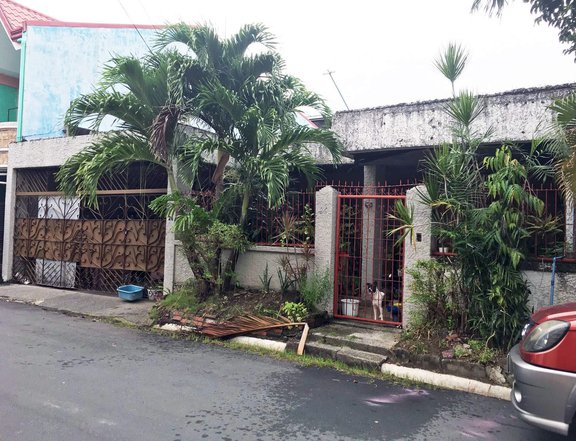 Fixer-Upper House in Paranaque City