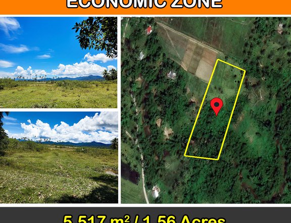5,517 m2 / 1.56 Acres | Asset Estate within Economic Zone