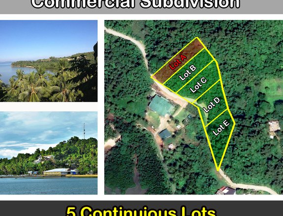 1,924 m2 / 20,710 ft2 Poblacion, San Vicente Hilltop Bay View Commercial Subdivision Property