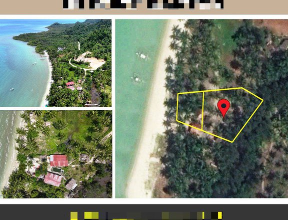 1,581 m2 / 17,017 ft2 | Sunset Beach Estate in Port Barton
