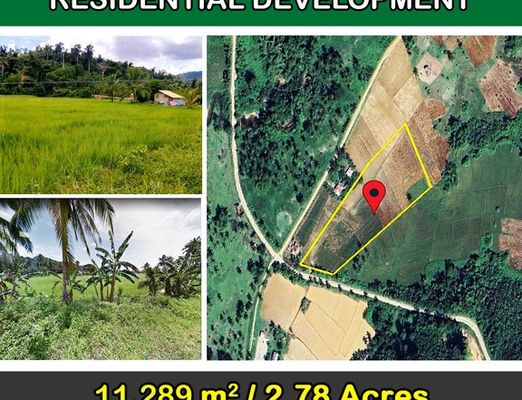 11,289 m2 / 2.78 Acres | Pleasant Homestead Estate Near Ocean