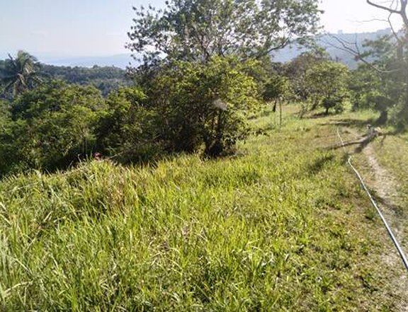 FOR SALE: Vacant Lot Ideal of boutique hotel commercial in Tagaytay