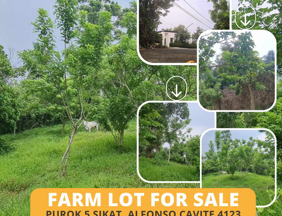 5,000 sqm Residential Farm For Sale in Alfonso Cavite (Tagaytay road)