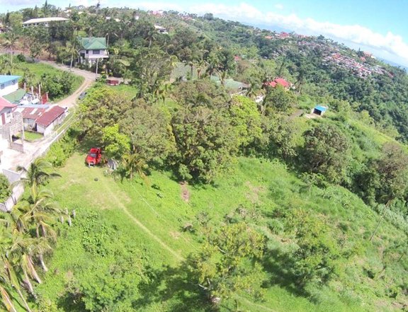 3.23 Hectares Lot For Sale in Tagaytay