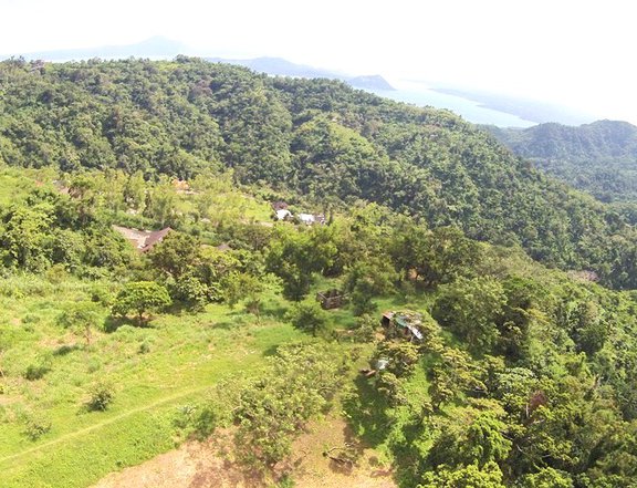 Tagaytay Cavite Raw Land For Sale 3.67 hectares