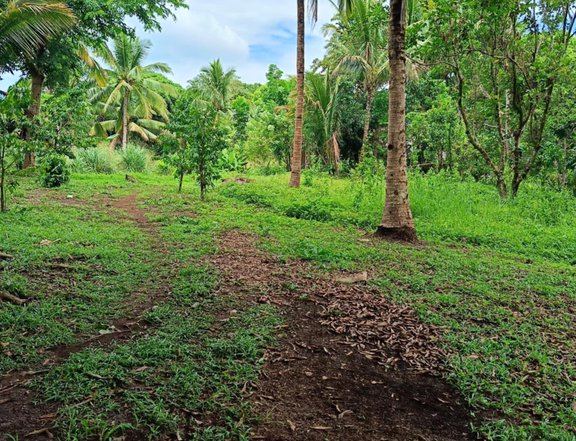 I'm selling corner farm residential lot in Brgy. Sampaloc,Tanay Rizal 176sqm.,corner 880T  5yrs.