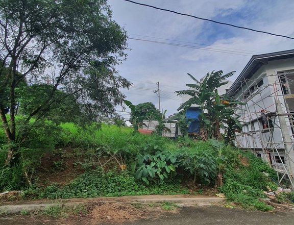 167sqm Residential Lot For Sale in Taytay Rizal