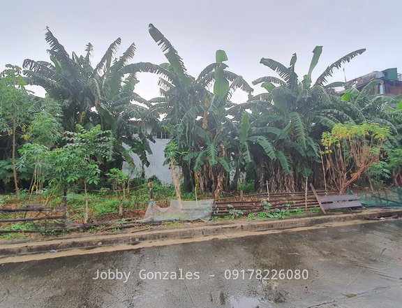 120 sqm Residential Lot For Sale in Taytay Rizal (Along Highway 2000)