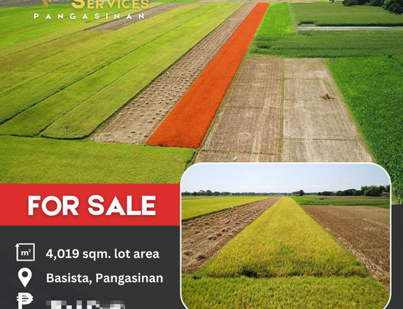 4,019 sqm Farm Lot For Sale in Basista Pangasinan