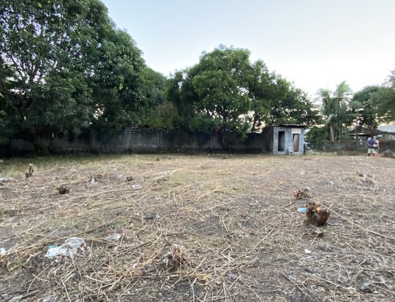 FOR SALE:  Vacant Lot in Sahud-Ulan, Tanza, Cavite