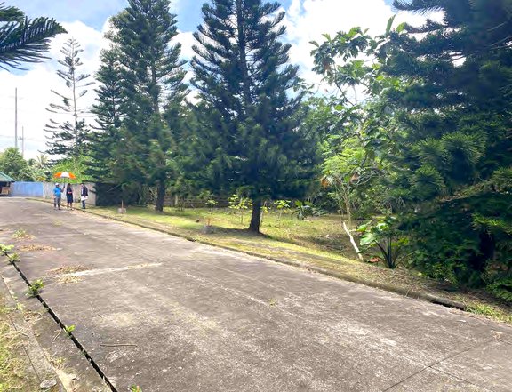 NEW RESIDENTIAL LOTS GREAT LOCATION. On Crisanto Amadeo. P7k/sqm