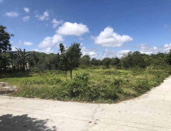 370sqm Residential Lot For Sale Malaking Tattioa, Silang from P2.22m