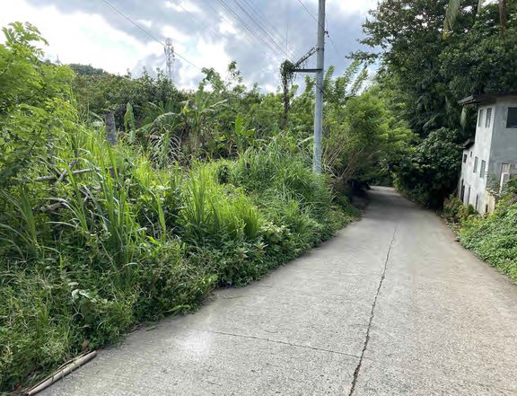 500sqm TITLED Residential Lot Amadeo just P2.75m