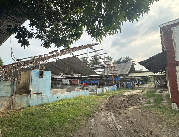 Prime 5-Hectare Land For Sale in Guiguinto, Bulacan
