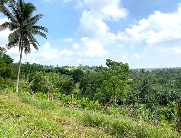 TITLED 2.8 hectare lot for sale. P3.7K/sqm. Nr Tagaytay and Aguinaldo.