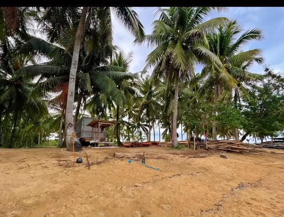 3,000 sqm Beach Property For Sale in Sibunag Guimaras