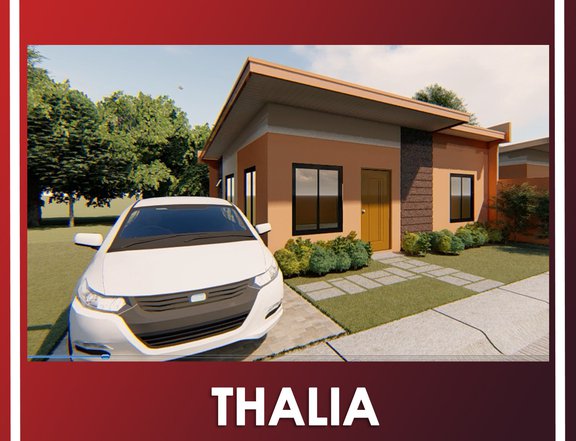Affordable THALIA SF house of BRIA HOMES for OFW