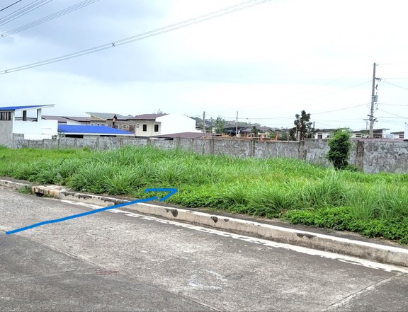lot for sale in Sto.Tomas Batangas