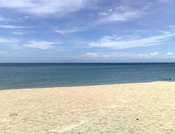 Playa Laiya San Juan Batangas Lot Near The Beach For Sale