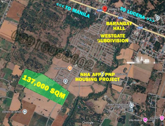 PHP 450 / sqm ONLY for Farm Lots FOR SALE by Owner 1.5 km from Maharlika Hiway in Tiaong