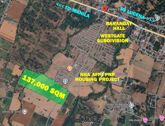 PHP 450 / sqm ONLY for Farm Lots FOR SALE by Owner 1.5 km from Maharlika Hiway in Tiaong