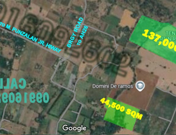 PHP 350/sqm ONLY for Farm Lots in Tiaong Quezon For Sale by Owner