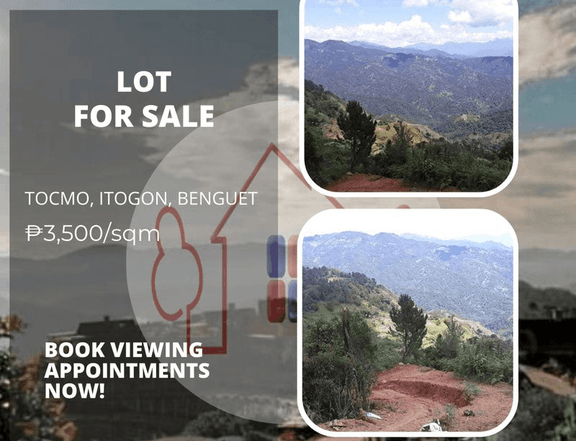 1 hectare Raw Land For Sale in Itogon Benguet