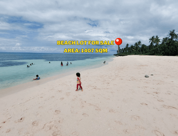 1,407 sqm Beach Lot For Sale By Owner in San Francisco Camotes Island Cebu