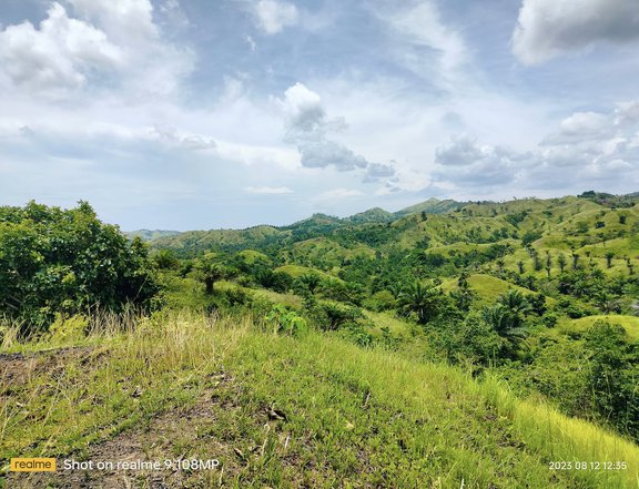 Lot for sale 34 has overlooking rolling at Buenavista Bohol 25/sqm net