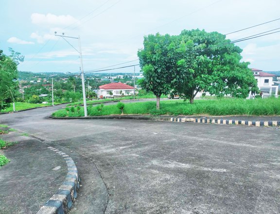 Prime Residential Lots 300 to 600 sqm in Royal Cebu Subdivision