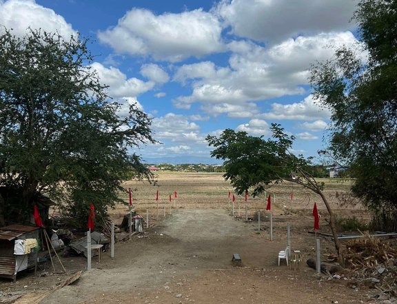 150 SQM Lot for Sale in Tarlac City- Suizo Ungot, Tarlac