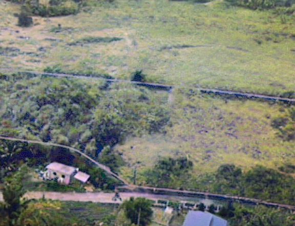 2.1 hectares Residential Farm For Sale in Amadeo Cavite