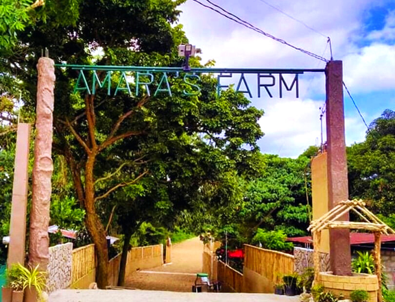 Titled Farm Lot in Amara's Farm near Tagyatay