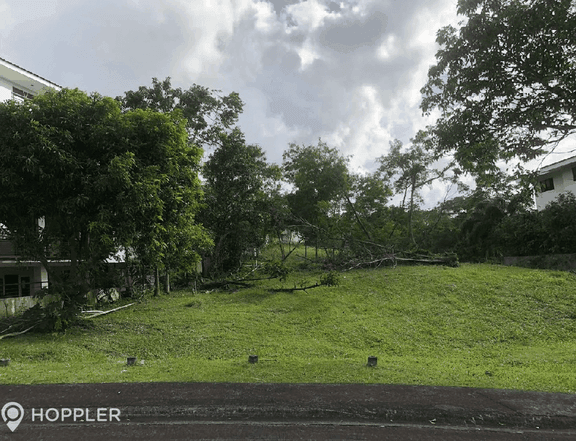 429.0sqm Lot for Sale in Ayala Greenfield Estates, Laguna - RS4756884