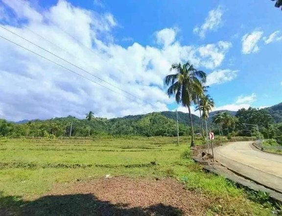 Residential Lot For Sale in Valderrama Antique