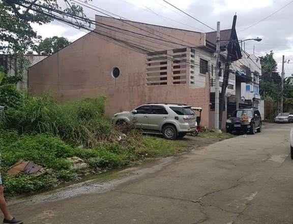 315 sqm Residential Lot For Sale in Cainta Rizal