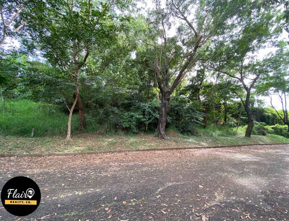 RESIDENTIAL LOT FOR SALE IN ANTIPOLO INSIDE EXCLUSIVE SUBD.
