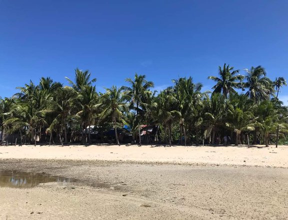 Titled Beach Lot in Bantayan Island for Sale 2,634 SQ Mtr
