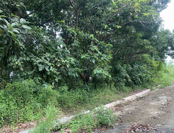 404 sqm Eastland Heights lot for Sale | Nature view